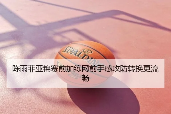 陈雨菲亚锦赛前加练网前手感攻防转换更流畅